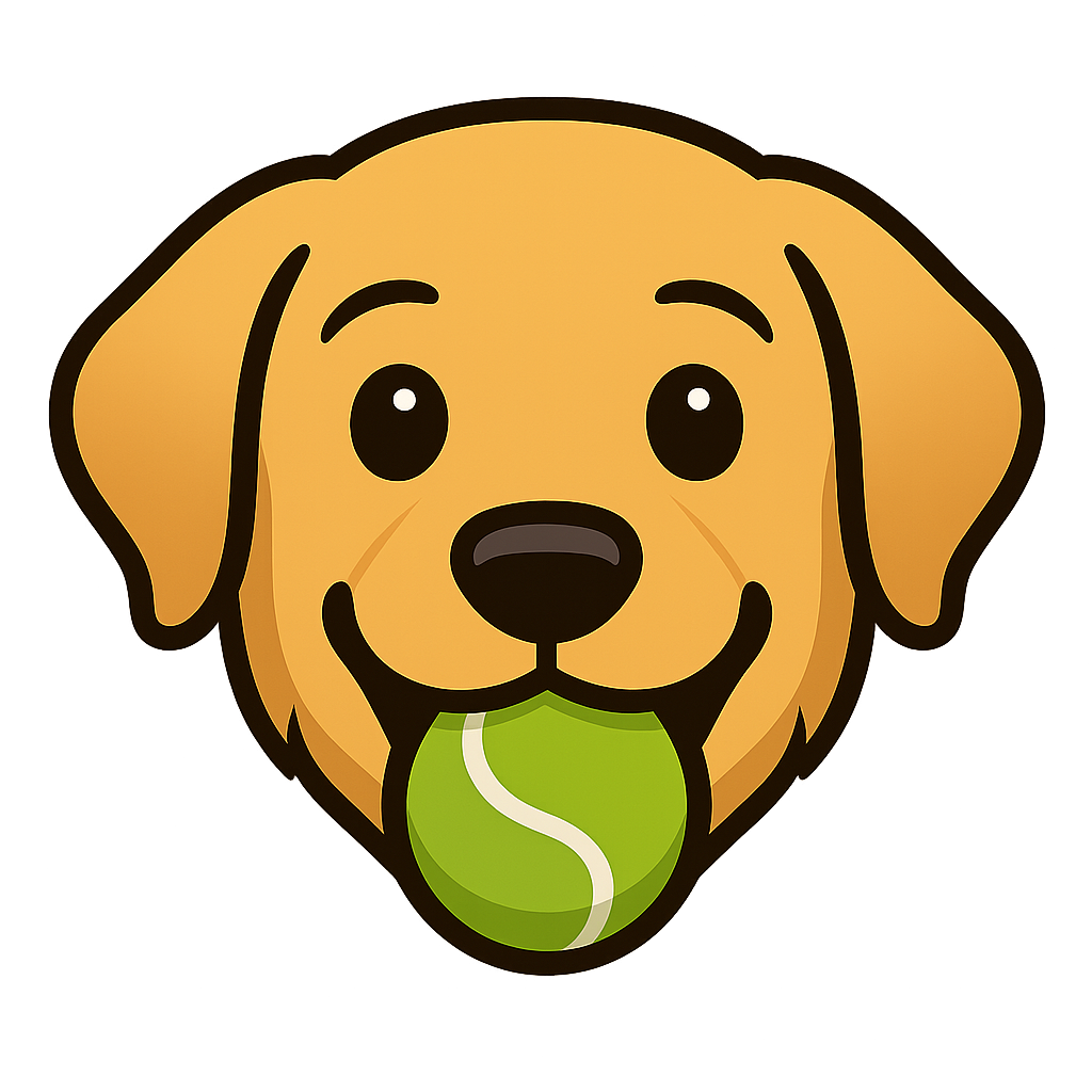 fetch.png