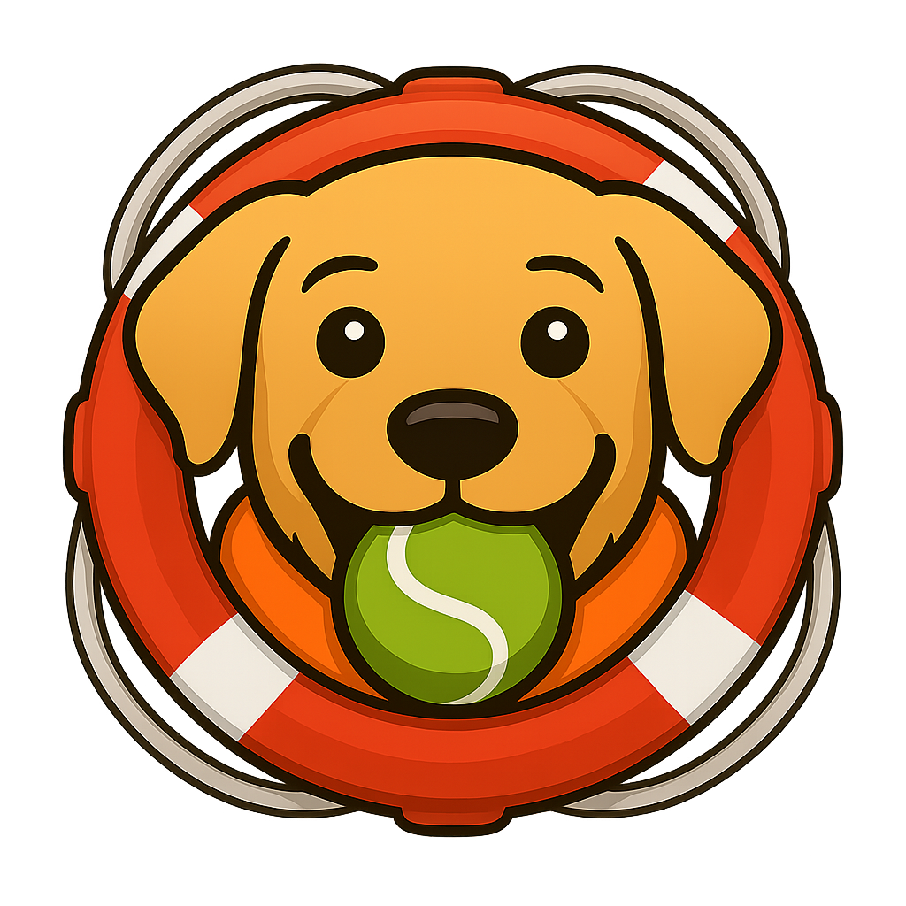 fetchlifeboat.png